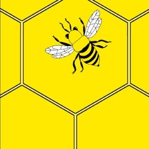 Meet your Posher, Ava